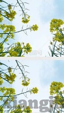 91麻豆剧场-探寻91麻豆剧场的多种可能，从创意到文化的融合