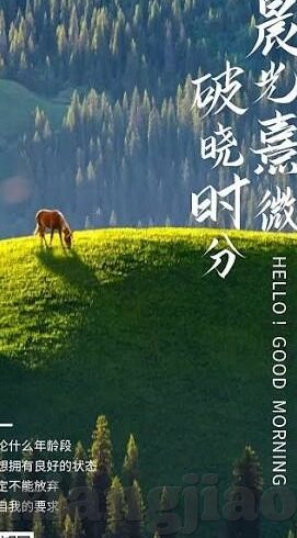 国语av免费观看麻豆麻豆-解锁视听盛宴——国语AV免费资源探索挑战